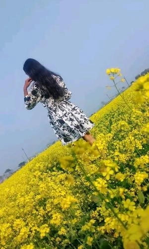 Woman in a floral dress standing in a field of yellow flowers with a clear blue sky.