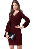 polyester-maroon-bodycon-dress
